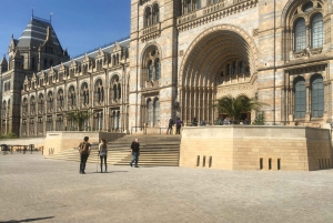 London: Inngangsbillett til Natural History Museum og omvisning