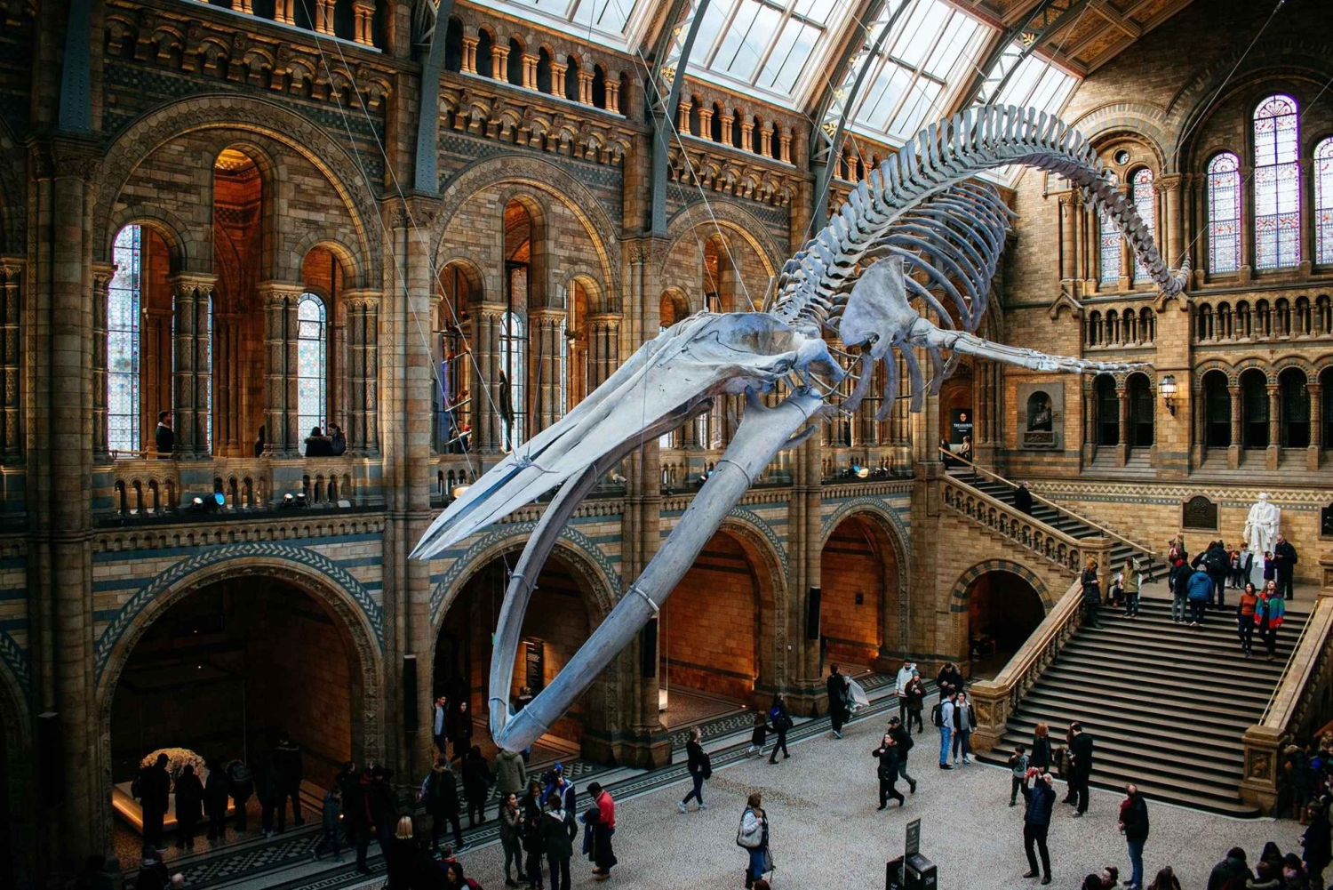 London: Natural History Museum Express Tour & Audio App