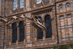 London: Natural History Museum Express Tour & Audio App