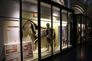 London: Natural History Museum Express Tour & Audio App