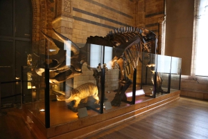 London: Natural History Museum Express Tour & Audio App