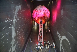 London: Natural History Museum Express Tour & Audio App