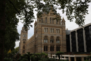 London: Natural History Museum Express Tour & Audio App
