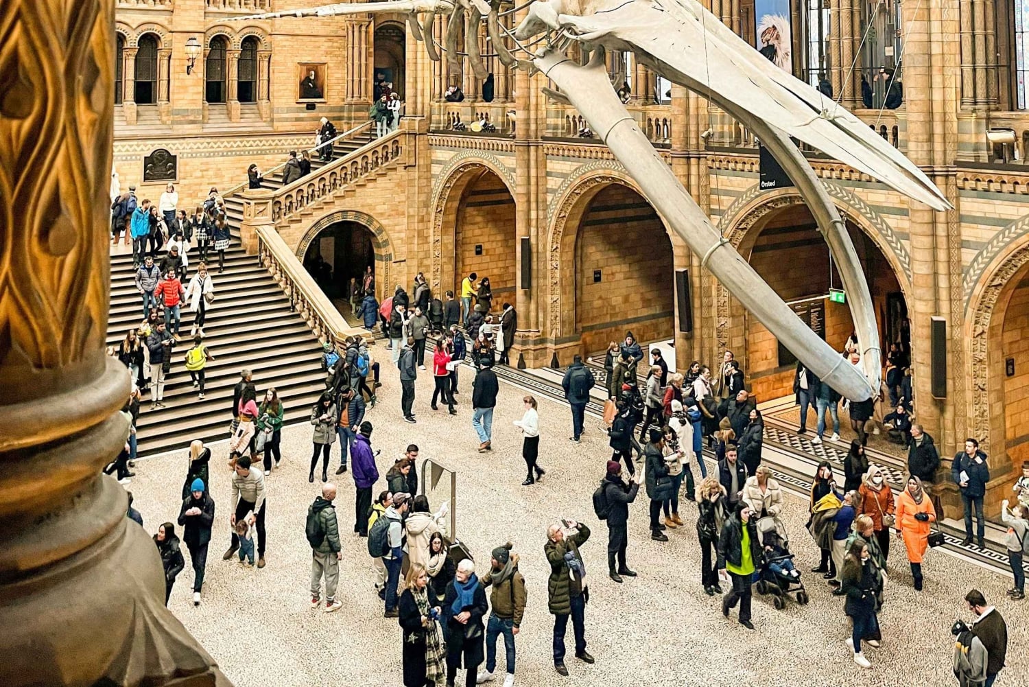 Londyn: Wycieczka z przewodnikiem po Muzeum Historii Naturalnej