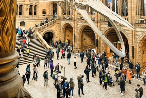 Londres : Visite guidée du musée d'histoire naturelle