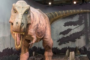 Лондон: Музей естественной истории + экскурсия с гидом + приоритетный вход