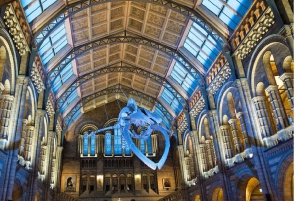 Лондон: Музей естественной истории + экскурсия с гидом + приоритетный вход