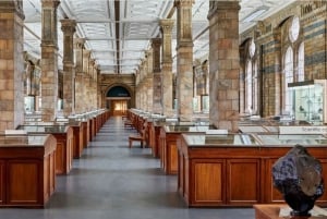 Лондон: Музей естественной истории + экскурсия с гидом + приоритетный вход