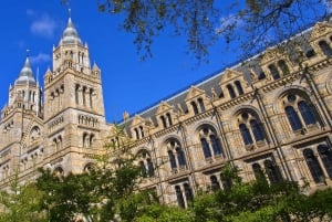 Londres : visite guidée du musée d'histoire naturelle