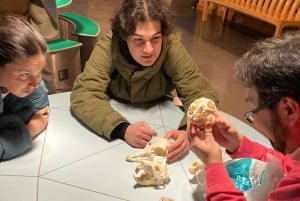 Лондонский музей естествознания: индивидуальная экскурсия с экспертом