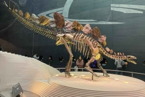 Лондонский музей естествознания: индивидуальная экскурсия с экспертом