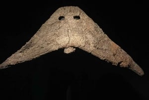 Лондонский музей естествознания: индивидуальная экскурсия с экспертом