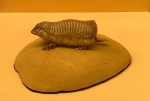 Лондонский музей естествознания: индивидуальная экскурсия с экспертом