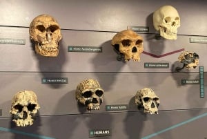 Лондонский музей естествознания: индивидуальная экскурсия с экспертом