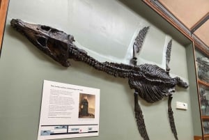 Лондонский музей естествознания: индивидуальная экскурсия с экспертом