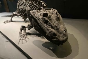 Лондонский музей естествознания: индивидуальная экскурсия с экспертом