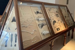 Лондонский музей естествознания: индивидуальная экскурсия с экспертом