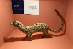 Лондонский музей естествознания: индивидуальная экскурсия с экспертом