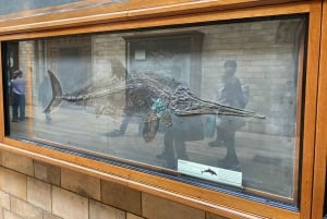 Лондонский музей естествознания: индивидуальная экскурсия с экспертом