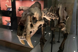 Лондонский музей естествознания: индивидуальная экскурсия с экспертом