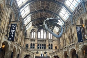 Лондонский музей естествознания: индивидуальная экскурсия с экспертом