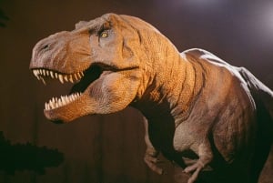 London: Natural History Museum Reserved Entry & Audio Tour