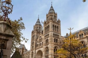 London: Natural History Museum Reserved Entry & Audio Tour