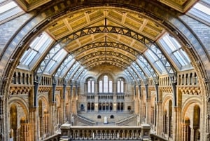 London: Natural History Museum Reserved Entry & Audio Tour