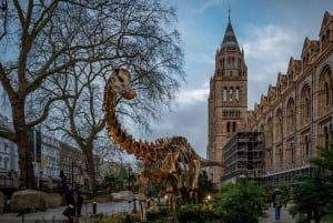 London: Natural History Museum Reserved Entry & Audio Tour