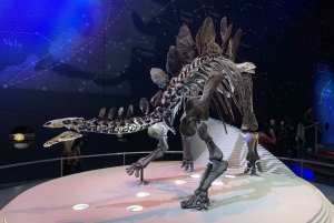 London: Natural History Museum Tour for Kids