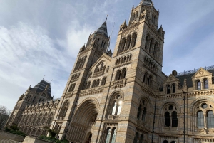 London: Natural History Museum Tour for Kids