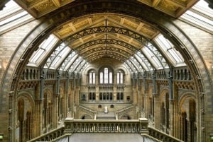 London: Rundtur till naturhistoriska museet