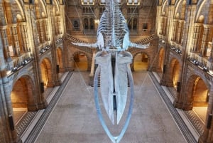 Londres : visite du musée d'histoire naturelle