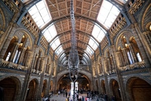London: Guided Tour of the Natural History Museum