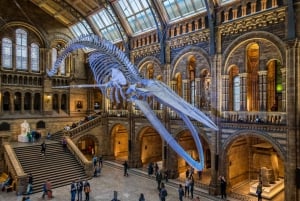 London: Guided Tour of the Natural History Museum
