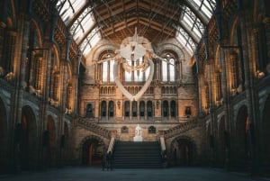 London: Guided Tour of the Natural History Museum