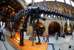 London: Guided Tour of the Natural History Museum