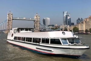 London nytårsaften fyrværkerikrydstogt på Silver Sockeye