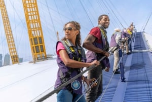 London: O2 Arena Rooftop Climbing Experience