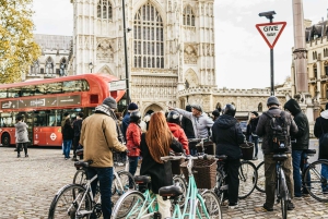 London: Parks und Paläste Geführte Fahrradtour am Morgen
