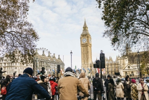 London: Parks und Paläste Geführte Fahrradtour am Morgen