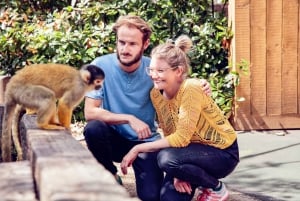 London Pass®: Access 100+ Attractions including London Eye