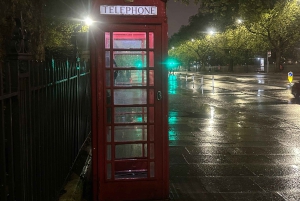 London: Privat Black Cab kvällstur med upphämtning från hotell