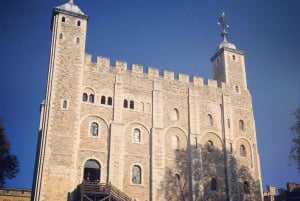Londen: Sightseeingtour met privéchauffeur