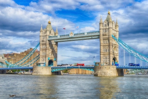 London: Private Customized Day Tour with Driver