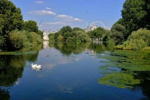 Londres : visite touristique privée d'une jounée avec un guide local