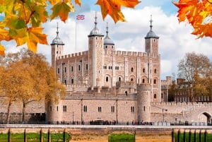 Londres : visite touristique privée d'une jounée avec un guide local