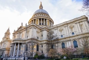 London: Private Halbtagestour mit einer lokalen Stadtführung