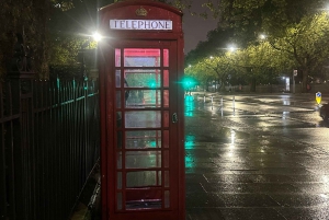 Лондон: частный ночной тур на черном такси с трансфером из отеля