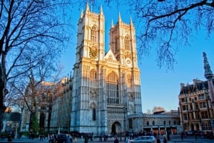 Londres: Palacio de Buckingham y Big Ben y Abadía Tour privado